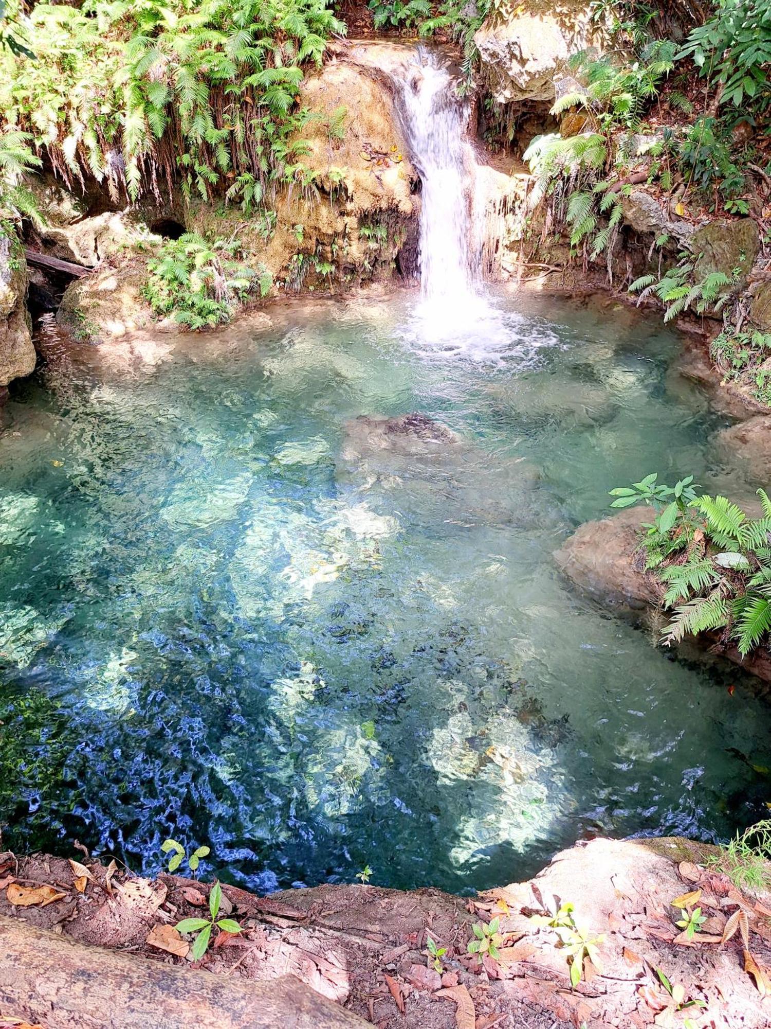 Hars Garden Sumba Hotel Waingapu Exterior photo